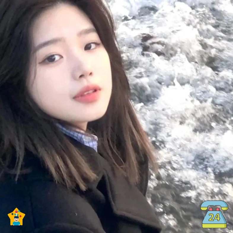 陆晨女士